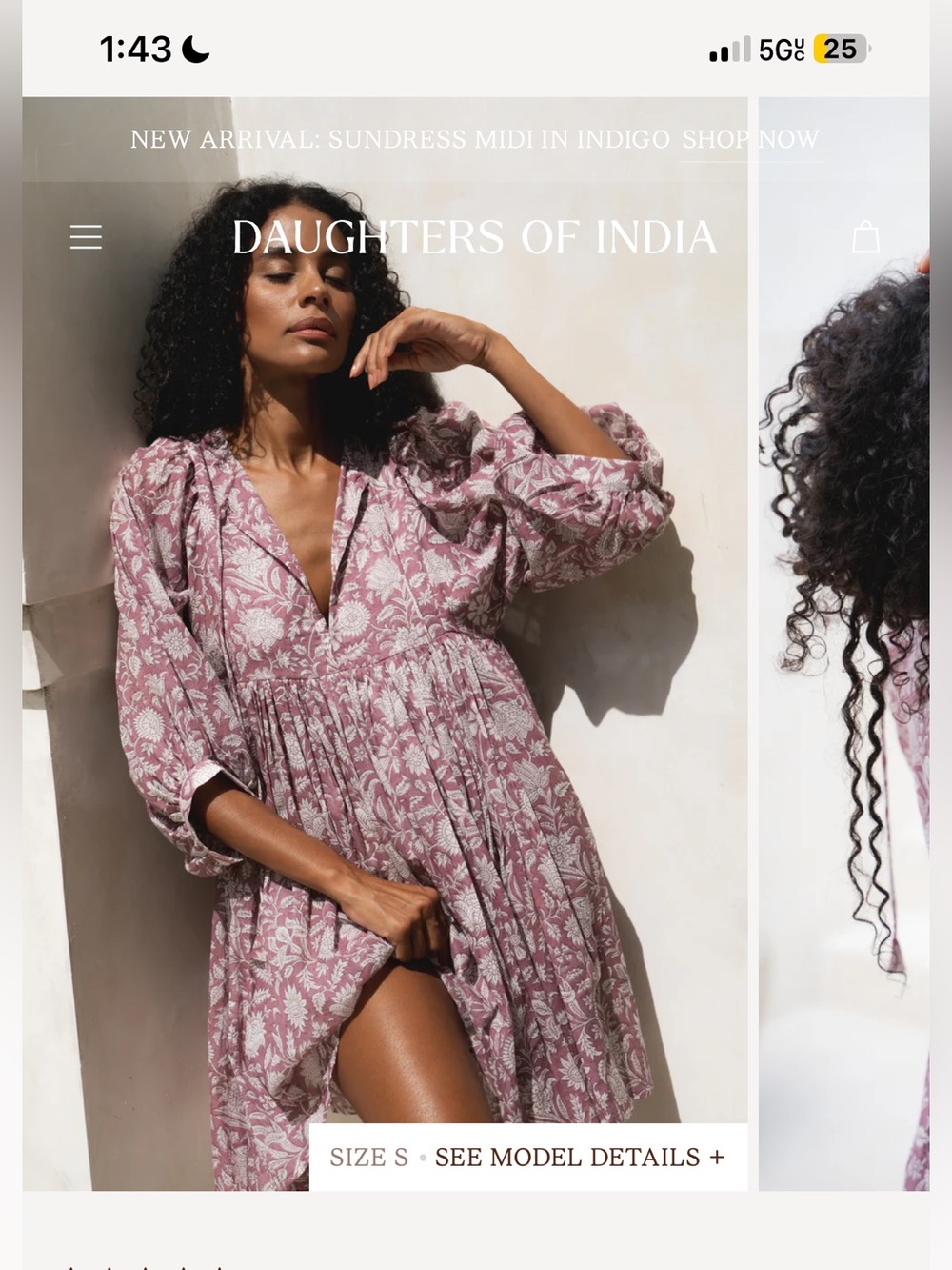 Kyra Mini Dress in Musk Daughters Of India